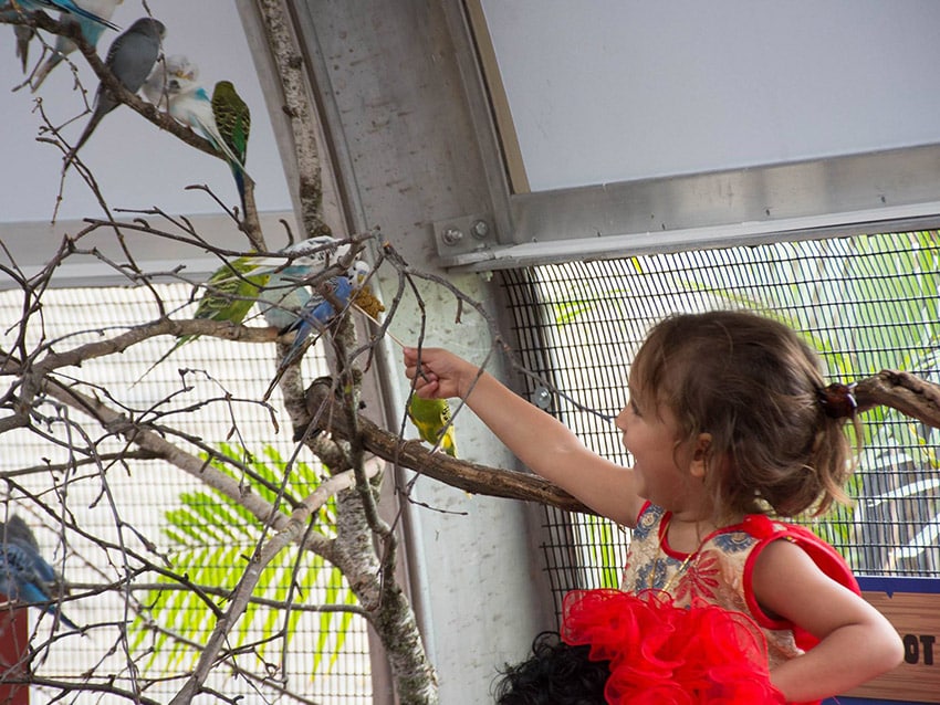 Sprung Fabric Structure - Bird Aviary for zoo exhibits